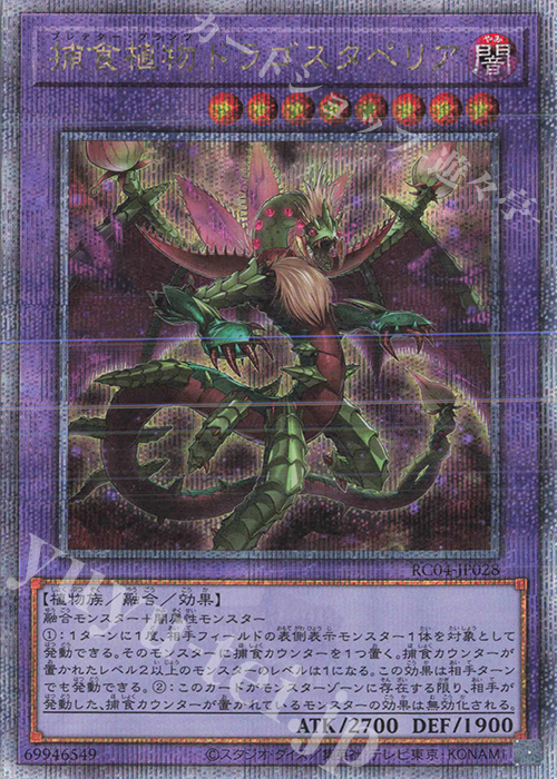 QCSE 捕食植物ドラゴスタペリア | 買取 | [RC04] RARITY COLLECTION -QUARTER CENTURY EDITION- | 遊戯王 OCG