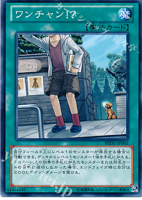 N ワンチャン！？ | 販売 | [REDU] RETURN OF THE DUELIST | 遊戯王 OCG