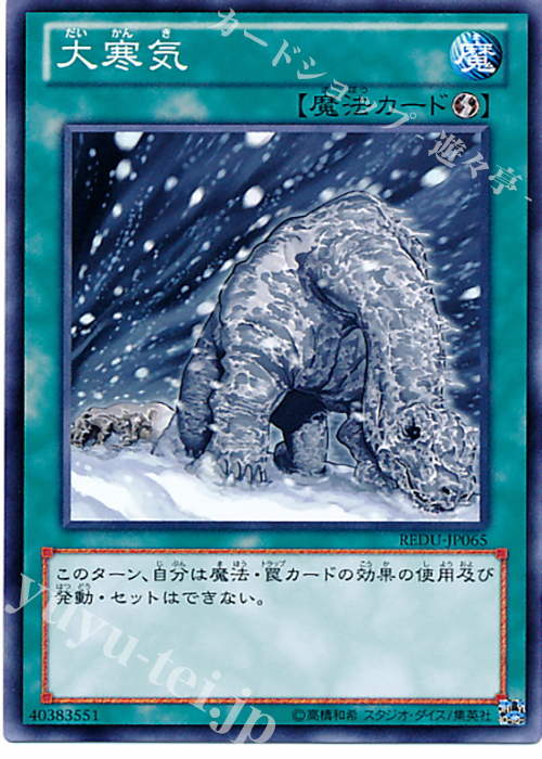 NR 大寒気 | 買取 | [REDU] RETURN OF THE DUELIST | 遊戯王 OCG