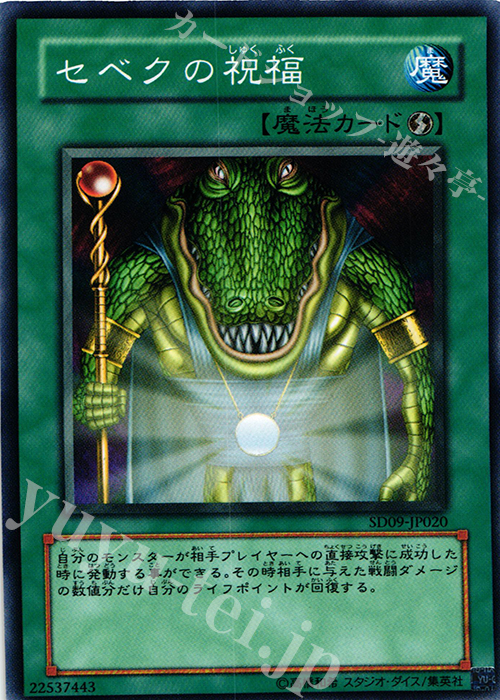 N セベクの祝福 | 買取 | [SD09] STRUCTURE DECK -恐竜の鼓動- | 遊戯王 OCG