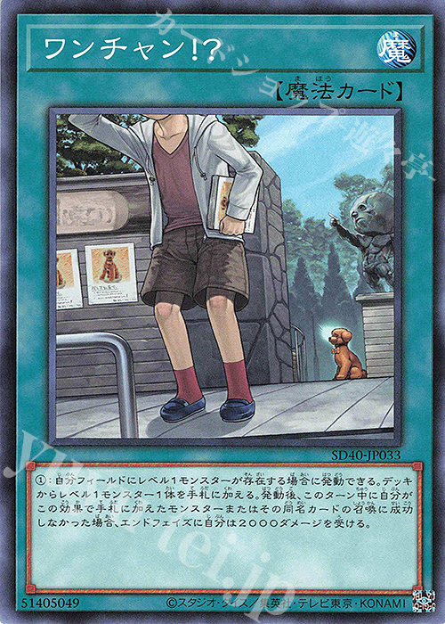 【傷】 N ワンチャン！？ | 販売 | [SD40] STRUCTURE DECK -凍獄の氷結界- | 遊戯王 OCG