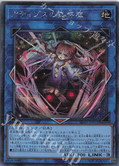 SE アティプスの蟲惑魔 | 買取 | [SD45] STRUCTURE DECK -蟲惑魔の森- | 遊戯王 OCG