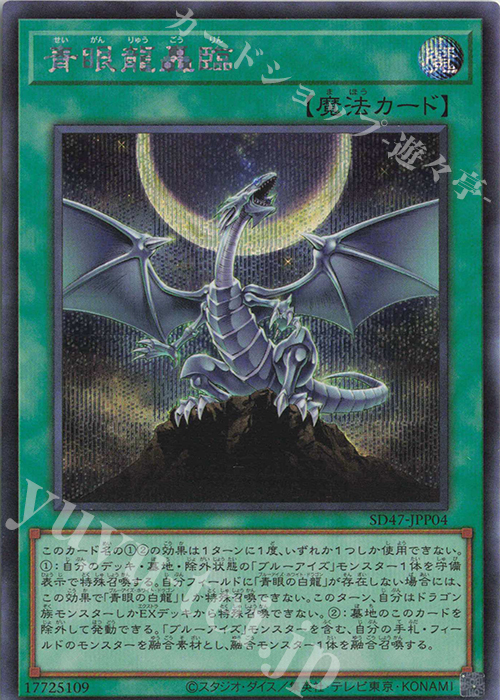 SE 青眼龍轟臨 | 買取 | [SD47] STRUCTURE DECK -青き眼の光臨- | 遊戯王 OCG