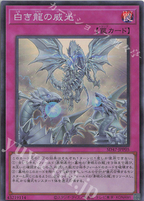 SR 白き龍の威光 | 販売 | [SD47] STRUCTURE DECK -青き眼の光臨- | 遊戯王 OCG