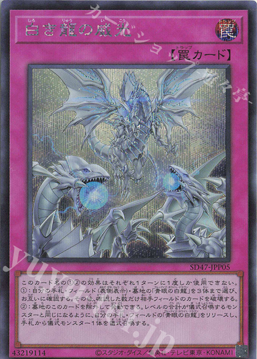 SE 白き龍の威光 | 買取 | [SD47] STRUCTURE DECK -青き眼の光臨- | 遊戯王 OCG