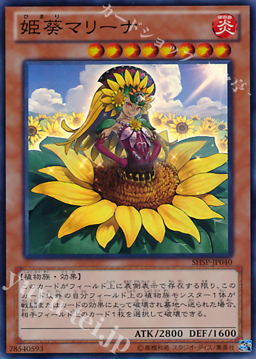 【傷】 SR 姫葵マリーナ | 販売 | [SHSP] SHADOW SPECTERS | 遊戯王 OCG