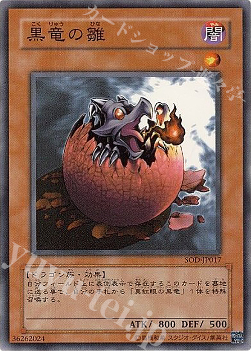 N 黒竜の雛 | 販売 | [SOD] SOUL OF THE DUELIST | 遊戯王 OCG