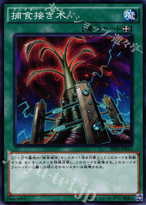 N 捕食接ぎ木 | 買取 | [SPFE] ブースターSP -フュージョン・エンフォーサーズ- | 遊戯王 OCG