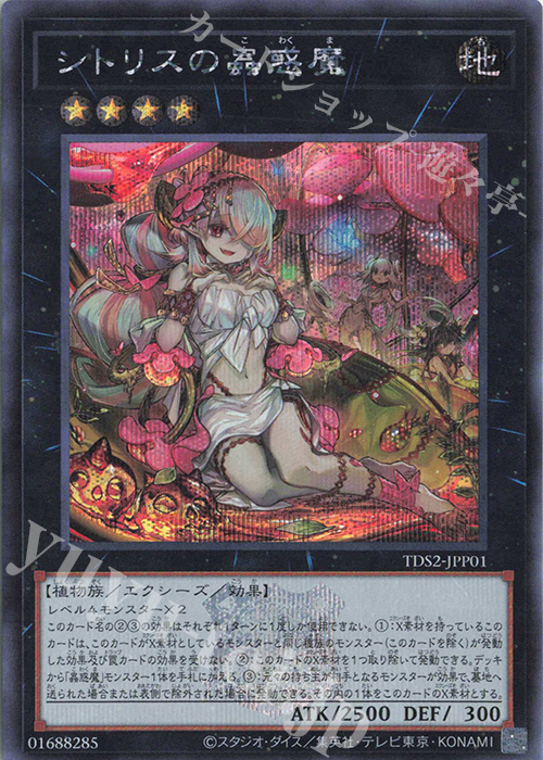 SE シトリスの蟲惑魔 | 買取 | [TDS2] STRUCTURE DECK 蟲惑魔の森 -決闘者伝説 QUARTER CENTURY EDITION- | 遊戯王 OCG