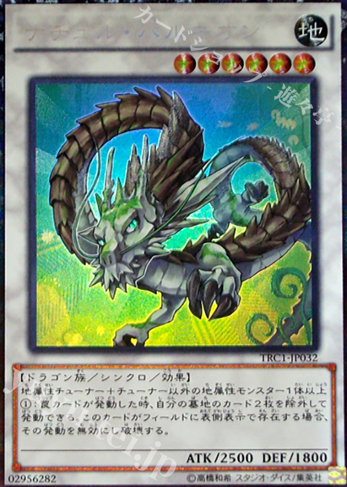 CR ナチュル・パルキオン | 買取 | [TRC1] THE RARITY COLLECTION | 遊戯王 OCG