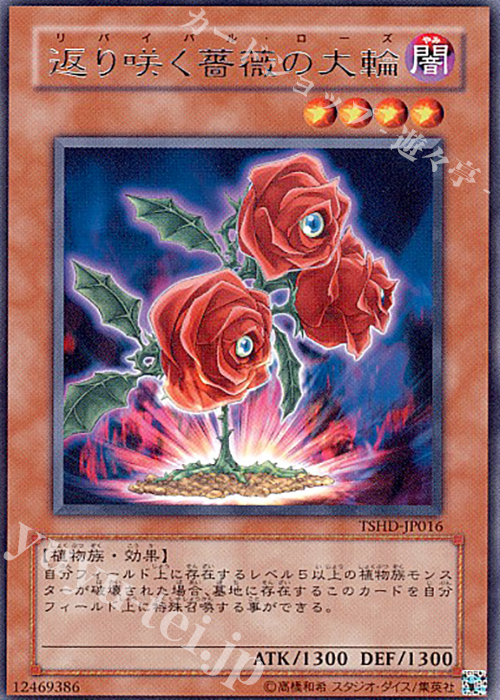 【傷】 R 返り咲く薔薇の大輪 | 販売 | [TSHD] THE SHINING DARKNESS | 遊戯王 OCG