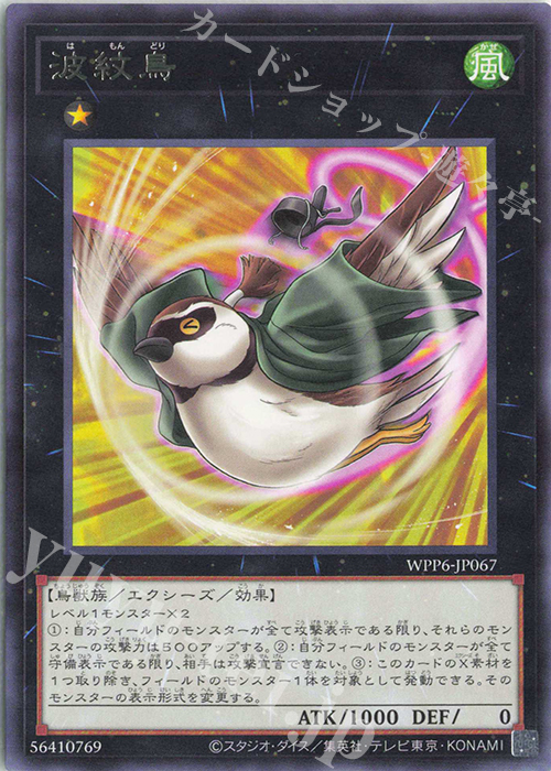 R 波紋鳥 | 販売 | [WPP6] WORLD PREMIERE PACK 2025 | 遊戯王 OCG