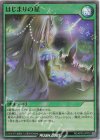 RD/AP03-JP002 SR はじまりの星