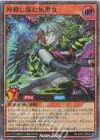 RD/CA01-JP048 P-UR 神殿に臨む黒魔女