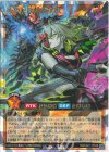 RD/CA01-JP048 ORR 神殿に臨む黒魔女