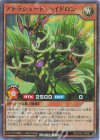 RD/CA01-JP067 P-SR アトラシュート・ハイドロン