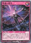  RD/GRP1-JP053 N 黒竜の怒号 