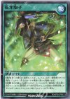  RD/KP05-JP048 N 花牙胞子 