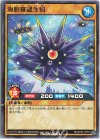  RD/KP07-JP010 N 海胆確認生物 