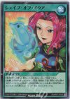  RD/KP07-JP045 SR シェイプ・オブ・アクア 