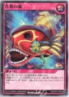  RD/KP09-JP056 N 吉兆の面 