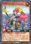  RD/KP11-JP018 N 希花牙のアイリス 