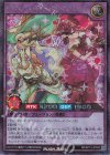 RD/KP13-JP042 SE セレブローズ・ラグジュアリ・マジシャンズ