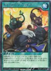  RD/KP14-JP055 R キャットロワ チョイス 