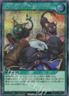  RD/KP14-JP055 SE キャットロワ チョイス 