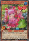  RD/KP18-JP022 SE ベリーフレッシュ・ハピネス・ハーベスト 