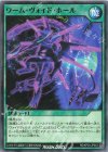 RD/KP24-JP043 N ワーム・ヴォイド・ホール