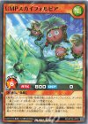 RD/KP26-JP017 N UMPスカイフォルビア
