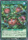 RD/KP26-JP048 R 謎の飛行植物は実在した!!