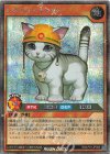 RD/LP01-JP008 SE レスキューキャット