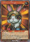 RD/LP01-JP029 SE レスキューラビット