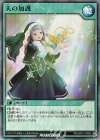 RD/MAX1-JP050 SR 天の加護