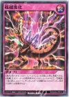  RD/MAX2-JP019 N 超越進化 
