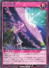  RD/MRP2-JP038 R 波状防壁 