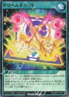 RD/MRP2-JP070 N ドリームチケット