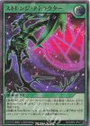 RD/ORP2-JP017 UR ストレンジ・アトラクター