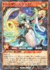 RD/SJMP-JP036 P-N トランザム・スクライド 