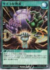  RD/B001-JP004 N サイコな埋葬 