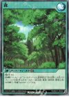  RD/B221-JP004 SR 森 