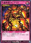  RD/B224-JP001 N 万能地雷グレイモヤ 