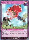 RD/B242-JP012 SR イチゴ狩り 