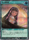 RD/P007-JP004 SE 天の招来