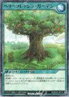  RD/B262-JP014 P-N ベリーフレッシュ・ガーデン 