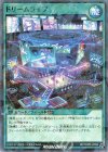  RD/TDPR-JP004 P-N ドリームライブ 