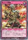  RD/SBD3-JP029 N 仙人の神髄 