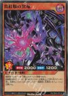  RD/TB02-JP012 SR 真紅眼の冥竜 